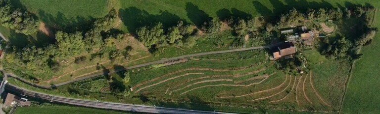 119148955 2681095165439709 5011657387263327078 o 1 768x232