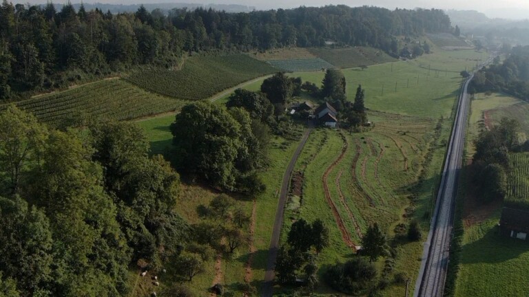 119155698 2681095078773051 4778354982895434772 o 1 768x432