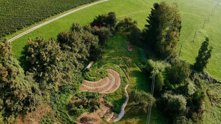 119156987 2681094892106403 5150884096063725905 o 1 768x432