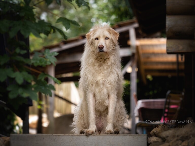 120955075 4697067497002511 6000292756159603350 o 1 768x576