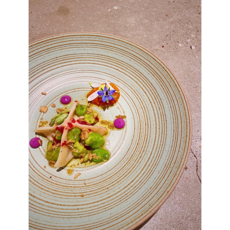 121499544 197544671731296 1153038958540970467 o 1 768x768