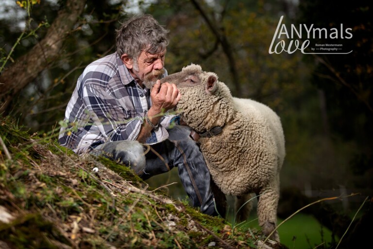 75332740 128749268534345 8091445835629330432 o 768x512