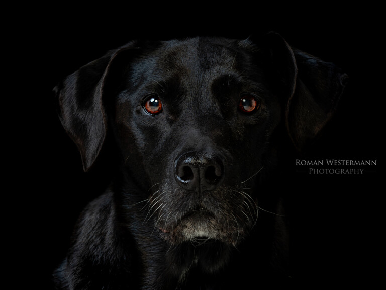 84474129 3657818164260788 7757540934710984704 o 768x576