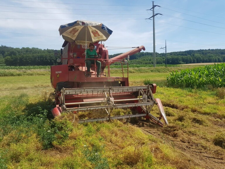 123111409 4850239021667928 2005323286239424257 o 1 768x576