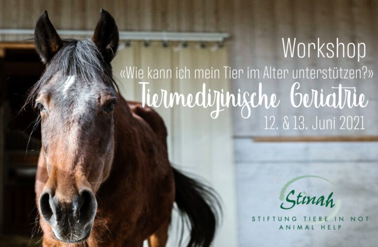 124863753 10157191408441841 6567416287176505429 o 1 768x502