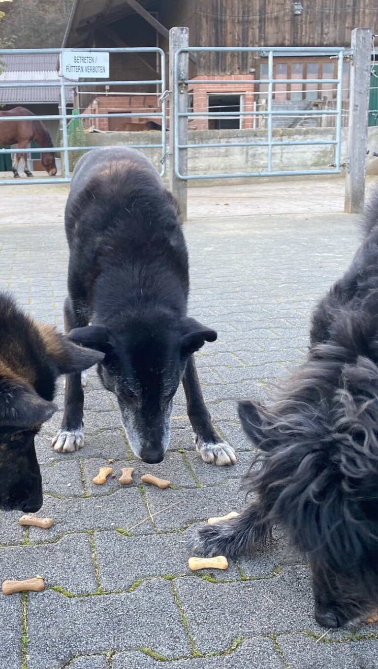 125317390 10157194735606841 7432803280168524397 o 1 768x1356