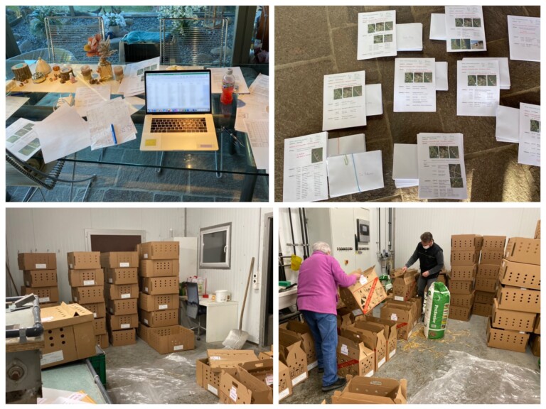 126069455 10157202746116841 5578010808782366660 o 1 768x576