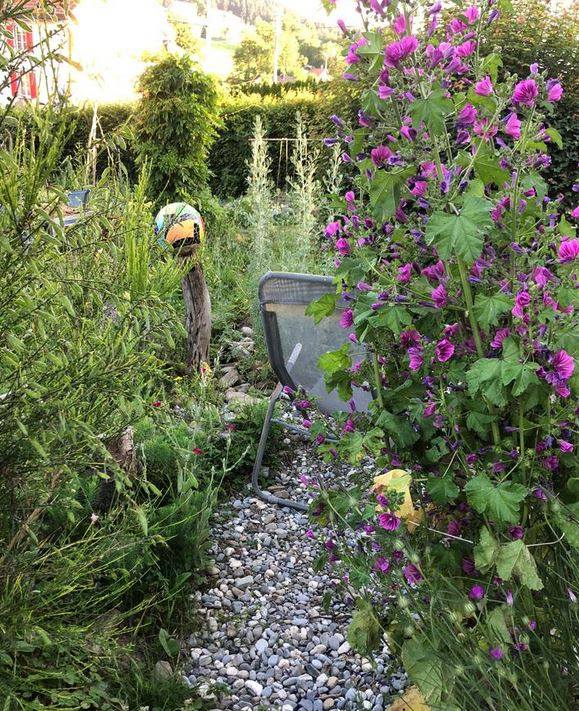 Permakultur Stammtisch in St. Gallen