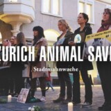 Kundgebung auf dem Züghusplatz