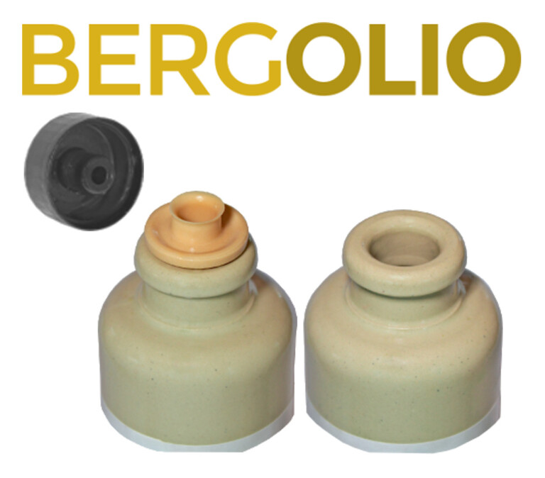 BERGOLIO Sacha Inchik Oel d 768x674