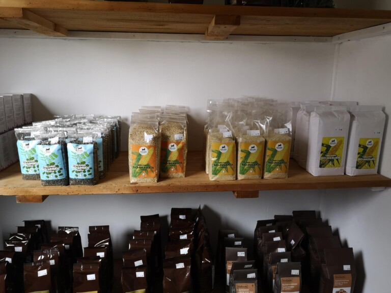 IMG 20191222 110332 768x576