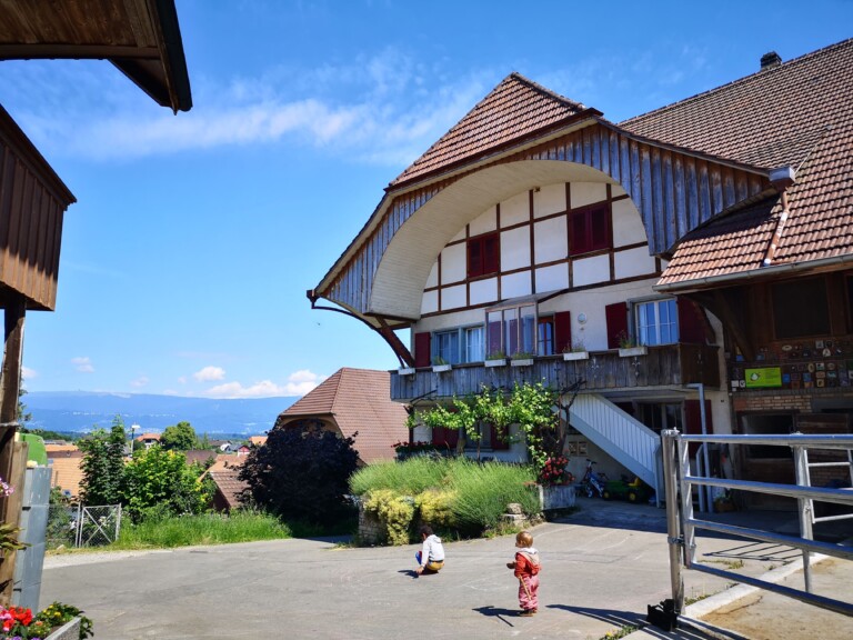 IMG 20200530 110454 768x576