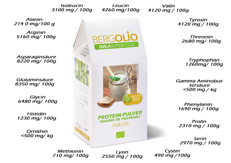 Vegan Sacha InchikProtein Pulver Bergolio 768x543