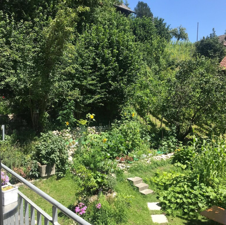 107376205 884947828663632 2456833123653900482 o 768x766