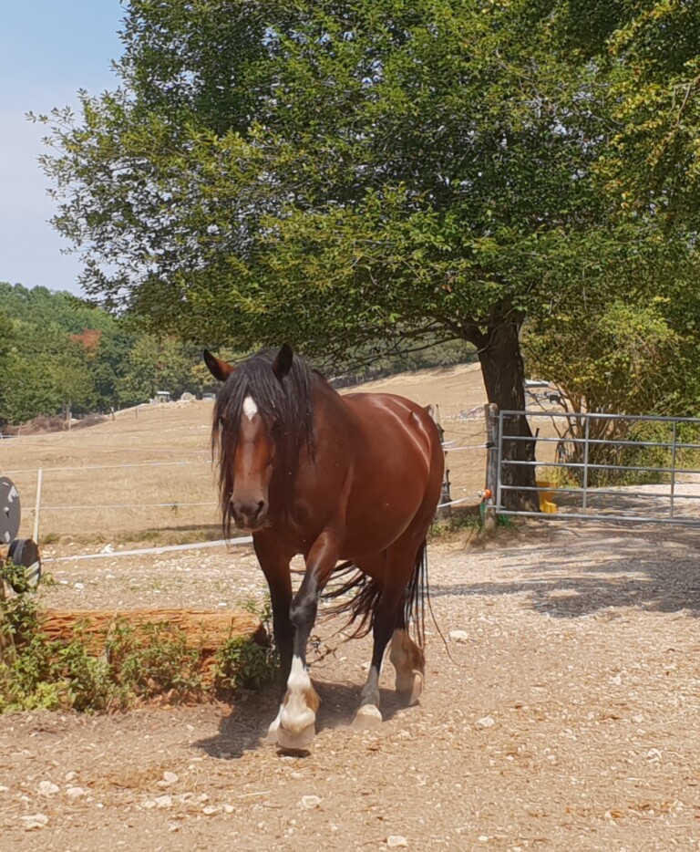 20190511 115706 768x934