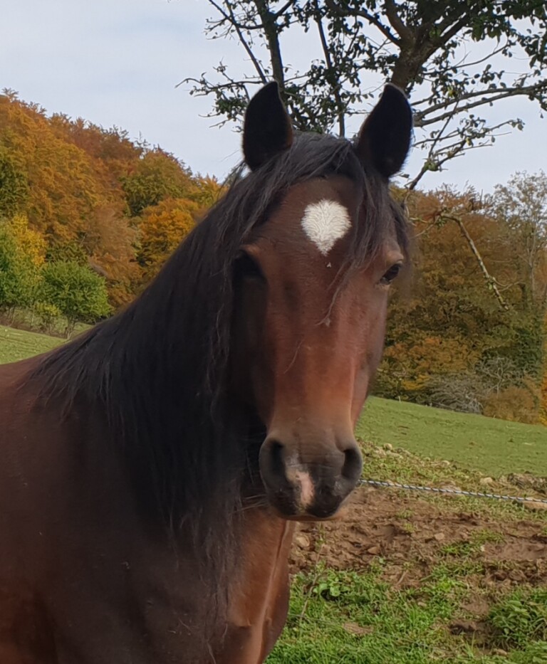 20201128 204840 768x933